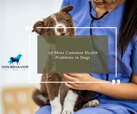 Common Dog Problems 的图像结果