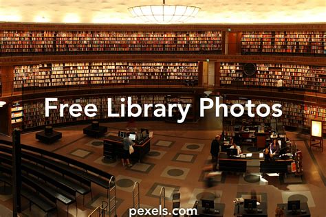 Library Stock Images 的图像结果