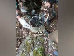 J-K: Security forces recover, destroy over 200 detonators in Poonch