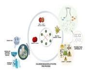 CSIR - National Institute For Interdisciplinary Science and Technology ...