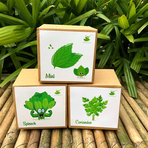 DIY Gardening Leafy Kits | Spinach + Coriander + Mint – Sow and Grow®