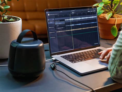 Image result for How to Check Sound Capsule