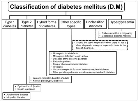An Overview of the Potential of Medicinal Plants Used in the Development of Nutraceuticals for ...