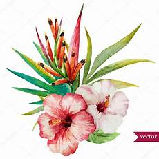 fiori tropicali tropical flowers stock vector 169 zeninaasya 67683593 fiori tropicali tropical flowers stock vector 169 zeninaasya 67683593