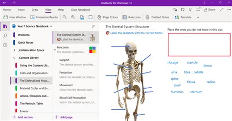Image result for OneNote Class Notebook New Student