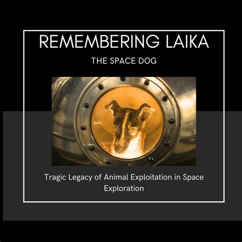 First Animal In Space Laika