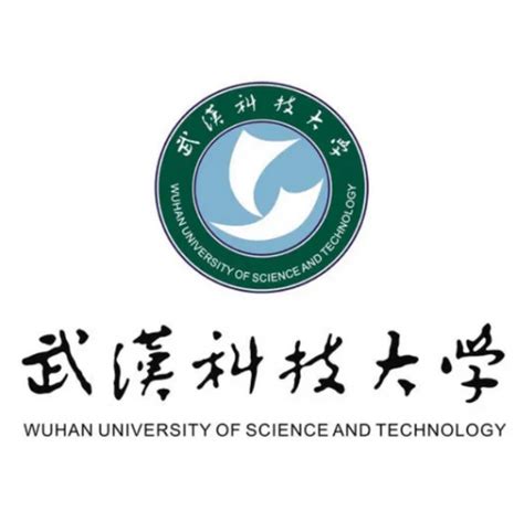 武汉科技大学 - 成功案例 - 卓智网络科技有限公司