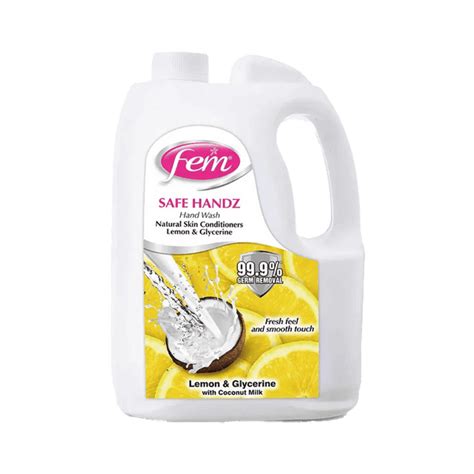 Buy Fem Safe Handz Lemon & Glycerine Hand Wash | Official e-Store DaburShop