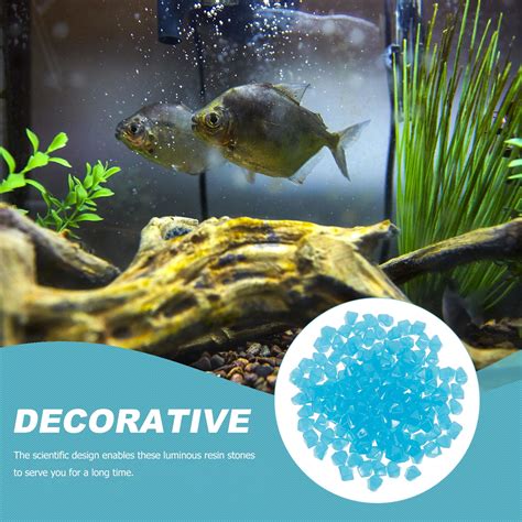 Image result for Fish Tank Pebbles