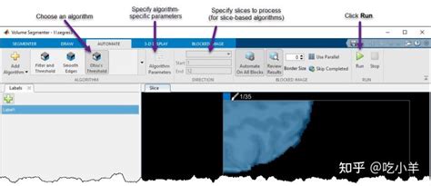Image result for Volume Segmenter MATLAB Tutorial