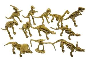 Buy Ancient History Dinosaur Fossil Skeleton Figures (24 Pack) Dino ...