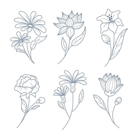 Hand drawn flower collection | Free Vector