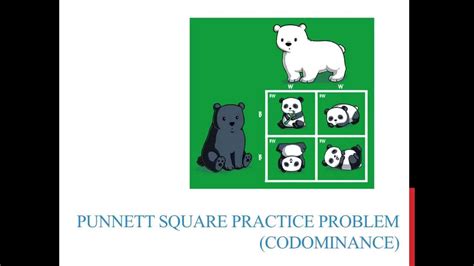 Codominance Practice Problems 的图像结果