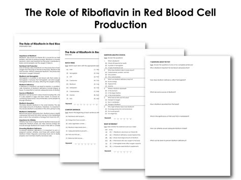 Image result for Explain Red Cell Production