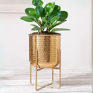 BEHOMA Hammered Metal Indoor Planter with Stand for Table Top & Floor ...