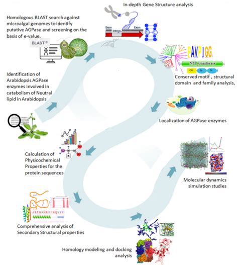 Computational science Methods 的图像结果