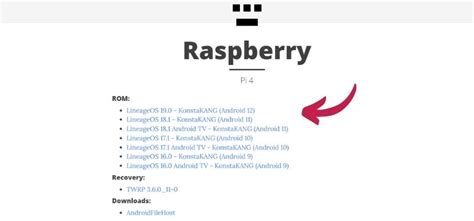 Image result for Raspberry Pi 4 Android