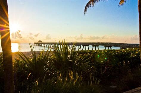 OCEANS 234, Deerfield Beach - Menu, Prices & Restaurant Reviews ...