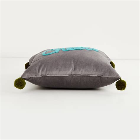 Buy Lark Get The Look Embroidered Velvet Filled Cushion - 30 x 30 cm ...