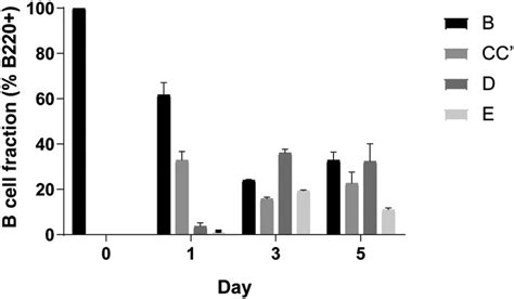 Differentiation of B lymphocytes over time in culture as assessed by... | Download Scientific ...