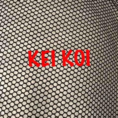 Jual JARING TUTUP KOLAM FIBER PREMIUM BULAT D:150 - Kota Bekasi - kei ...