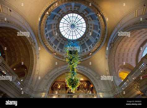 History Museum 的图像结果