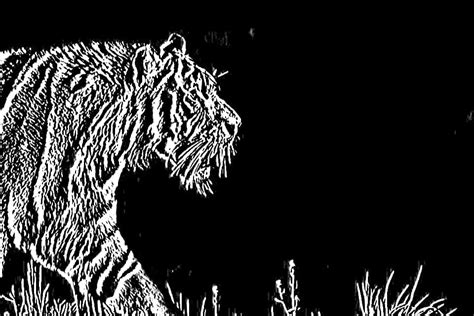 Image result for Edge Detection Convolution