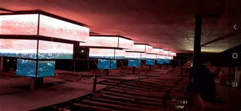 Image result for Club LED Display