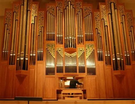 Image result for Types of Organs Instrument
