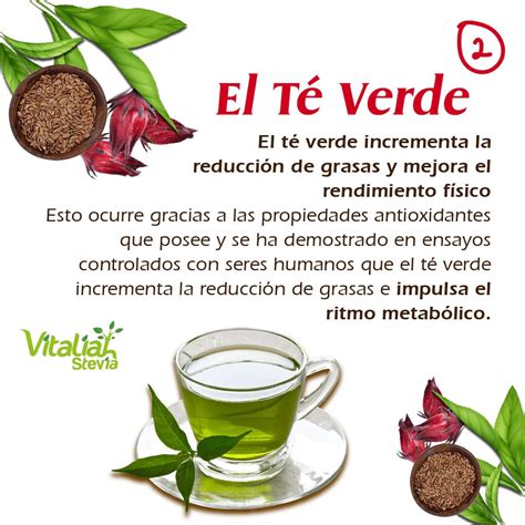 Té Verde Con Flor De Jamaica: Beneficios Y Cómo Tomarlo | TeleFlor