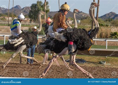 Emu Racing