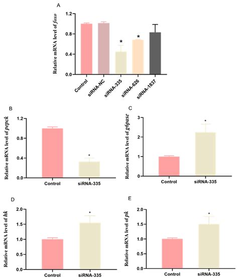 Functions of Forkhead Box O on Glucose Metabolism in Abalone Haliotis ...