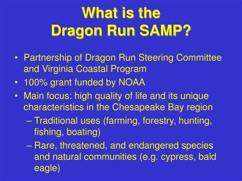 Image result for Java Program for Dragon Run