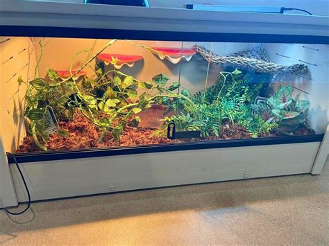 Setting Up Python Enclosure 的图像结果