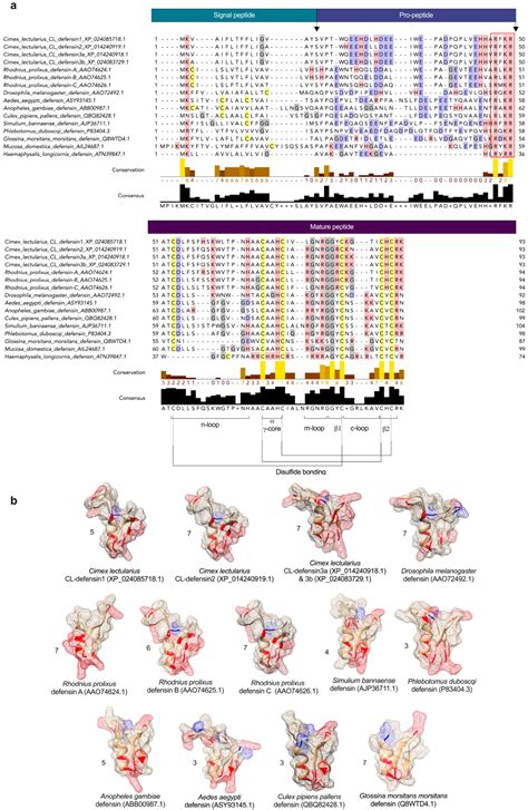 Characterization of New Defensin Antimicrobial Peptides and Their ...