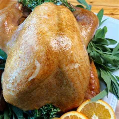 How to Cook a Turkey in a Roaster 的图像结果