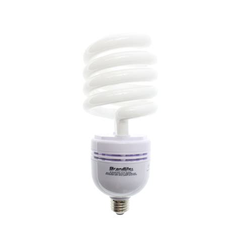 Grandlite E-BUB-P65-E26 Self Ballasted Compact Fluorescent Lamp, CFL ...