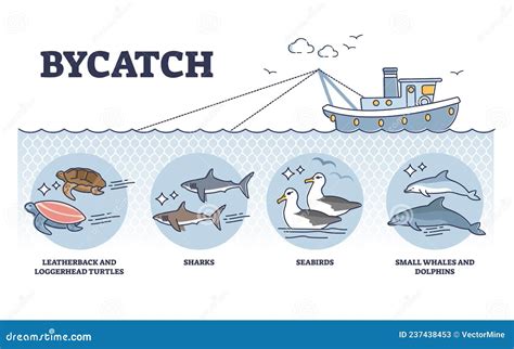 Bycatch Problem with Unwanted Animal Capture in Fishing Outline Diagram ...