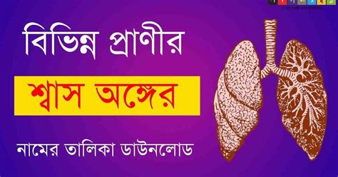 বিভিন্ন প্রাণীর শ্বাস অঙ্গের নাম তালিকা PDF | List of Respiratory ...