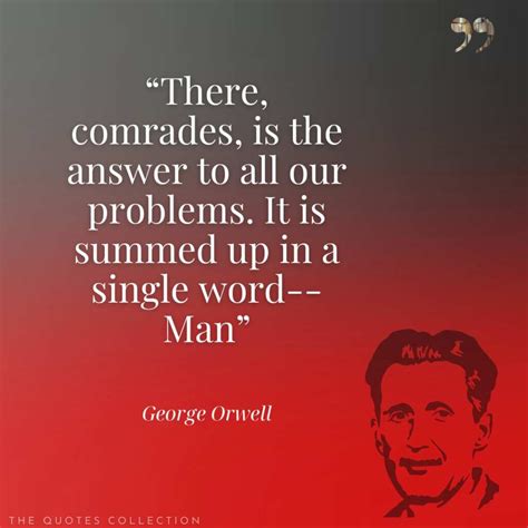21 Best Quotes by George Orwell from Animal Farm - The Quotes Collection