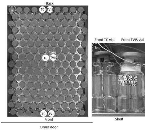 Observations on the Changing Shape of the Ice Mass and the ...