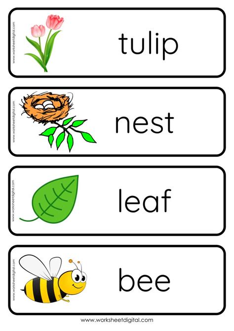 Spring FlashCards 的图像结果