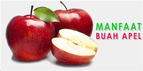 manfaat buah apel hijau bagi tubuh manusia
