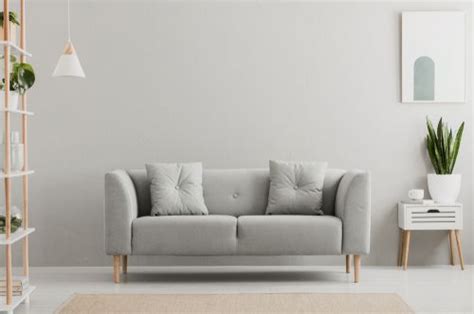 20 Vastu for Hall Tips for Your Home