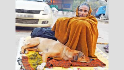 Homeless who refuse to be rescued big challenge | Delhi News - Times of ...