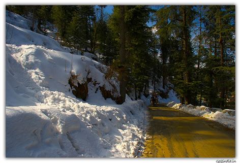 go2india.in : Tourist at Shimla visit Kufir in winter