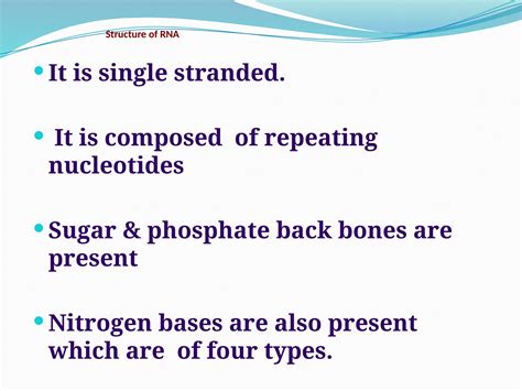 RNA Types 的图像结果
