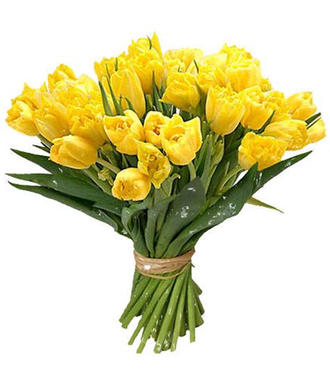 Yellow Tulip Bouquet Spring Flower Arrangement HD PNG | PNG All