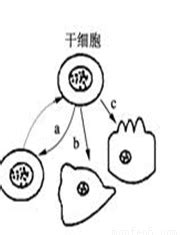 Image result for Easy Experiments with Fire