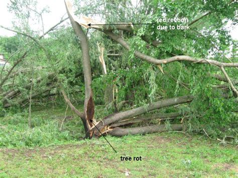 NWS La Crosse - Local Damage Assessment